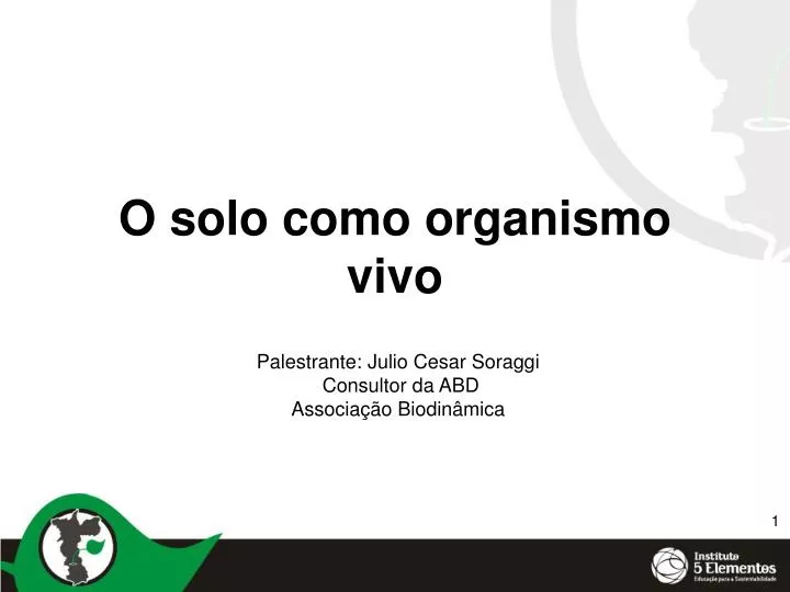 o solo como organismo vivo