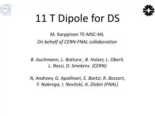 11 T Dipole for DS