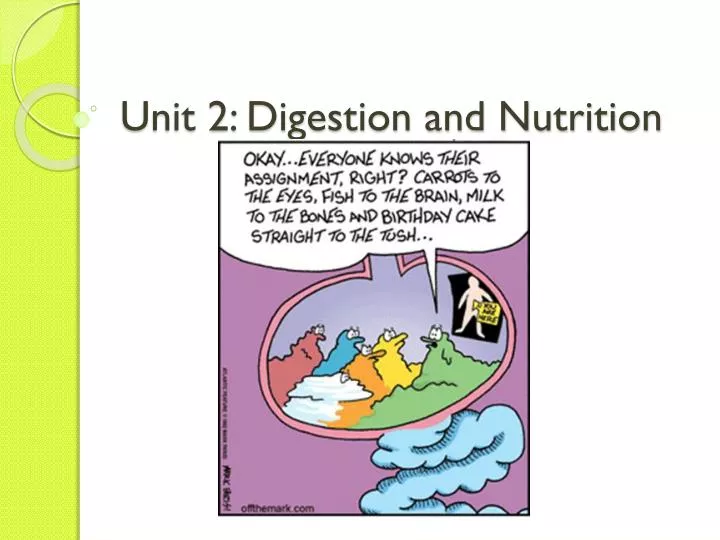 unit 2 digestion and nutrition