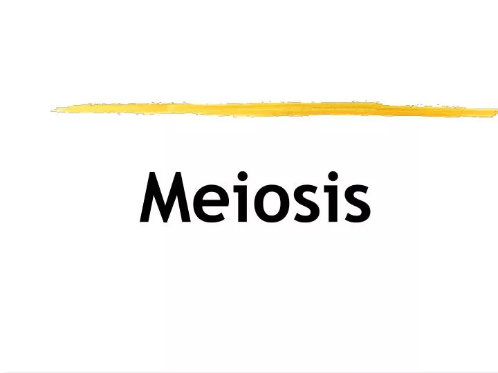 meiosis