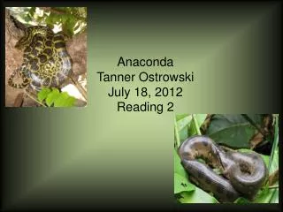 Anaconda Tanner Ostrowski July 18, 2012 Reading 2