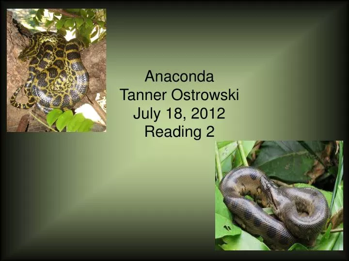 anaconda tanner ostrowski july 18 2012 reading 2