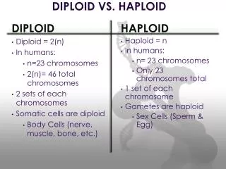 DIPLOID VS. HAPLOID