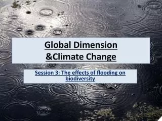 global dimension climate change