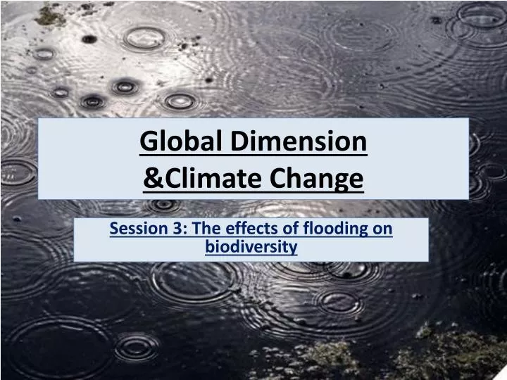 global dimension climate change