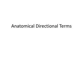 Anatomical Directional Terms