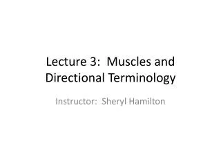 Lecture 3: Muscles and Directional Terminology
