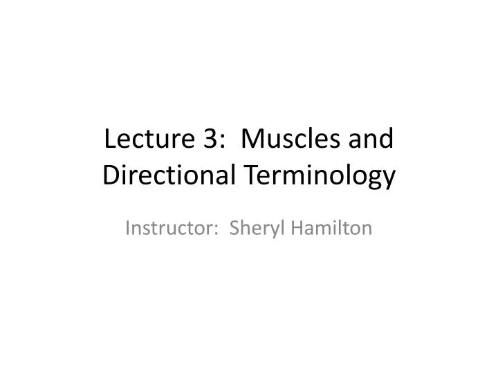 lecture 3 muscles and directional terminology
