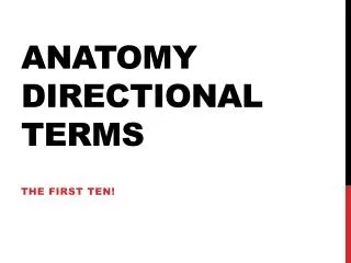 Anatomy directional terms