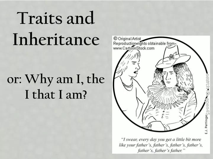 traits and inheritance or why am i the i that i am