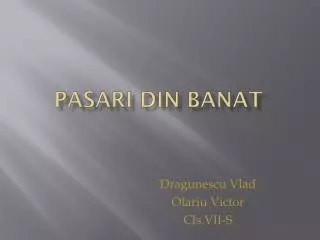 pasari din banat