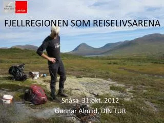fjellregionen som reiselivsarena