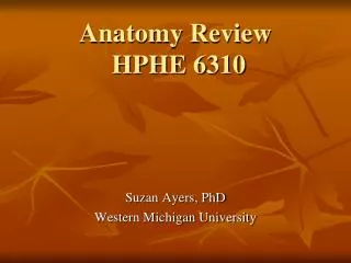 anatomy review hphe 6310