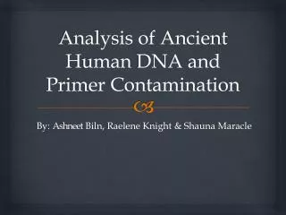Analysis of Ancient Human DNA and Primer Contamination