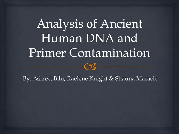 analysis of ancient human dna and primer contamination