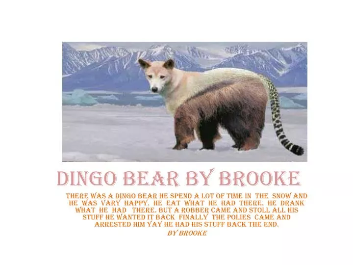 dingo bear by brooke