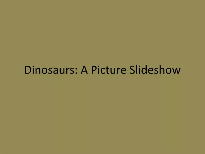 dinosaurs a picture slideshow
