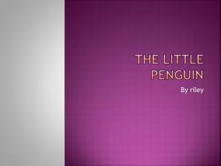 The Little Penguin