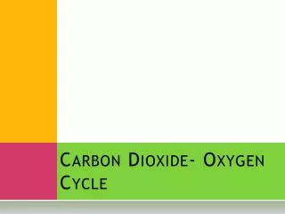 Carbon Dioxide- Oxygen Cycle