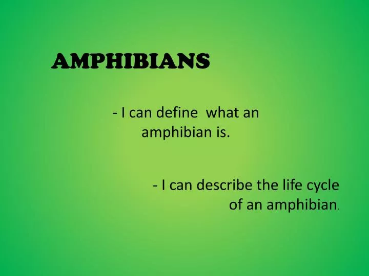 amphibians