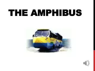 the amphibus