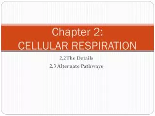 Chapter 2: CELLULAR RESPIRATION