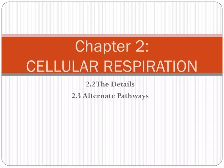 chapter 2 cellular respiration