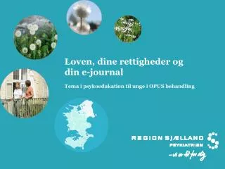 loven dine rettigheder og din e journal tema i psykoedukation til unge i opus behandling