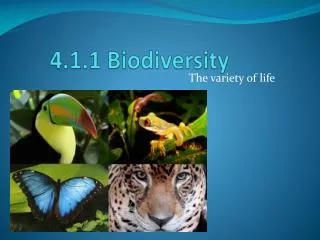 4.1.1 Biodiversity