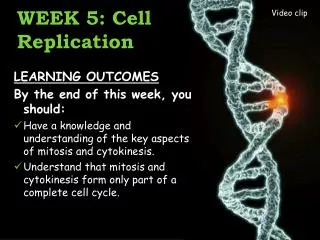 WEEK 5: Cell Replication