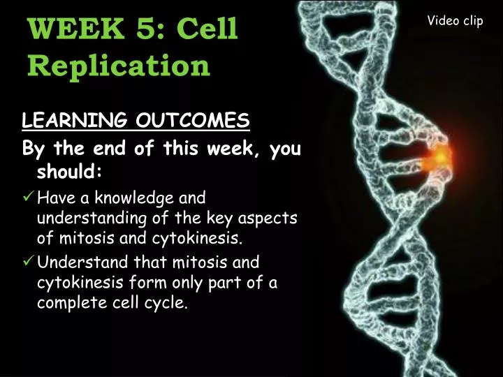 week 5 cell replication