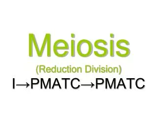 Meiosis (Reduction Division) I?PMATC?PMATC