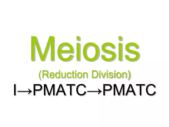 meiosis reduction division i pmatc pmatc