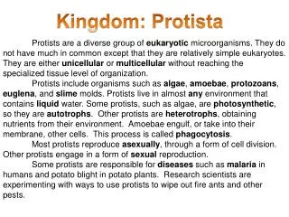 kingdom protista