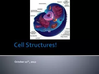 Cell Structures!