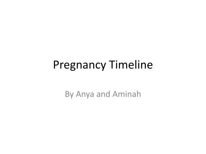 pregnancy timeline