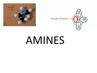 AMINES