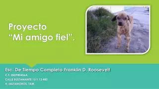 proyecto mi amigo fiel