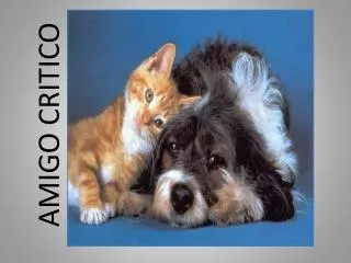 amigo critico