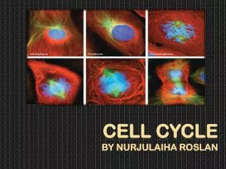 CELL CYCLE by nurjulaiha roslan