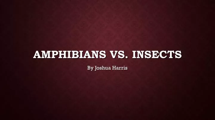 amphibians vs insects