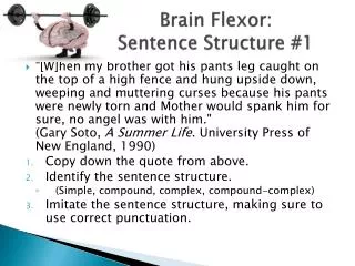 Brain Flexor: Sentence Structure #1