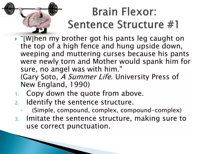 brain flexor sentence structure 1