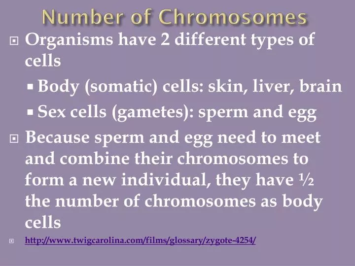number of chromosomes