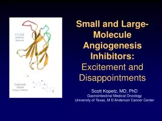 Small and Large-Molecule Angiogenesis Inhibitors: Excitement and Disappointments