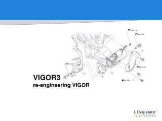 VIGOR3 re-engineering VIGOR