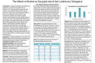 The effects of Alcohol on the pulse rate of the Lumbriculus Variegatus