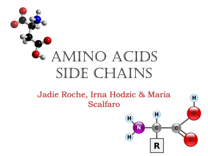 amino acids side chains