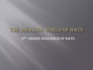 The amazing world of bats