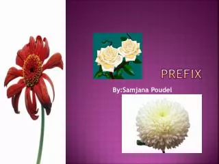 prefix